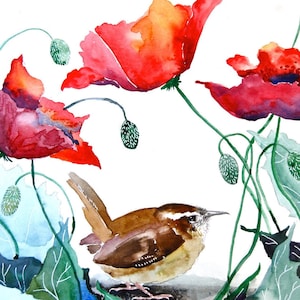 Aquarell, Zaunkönig mit Mohnblumen, Druck, 20x30 cm