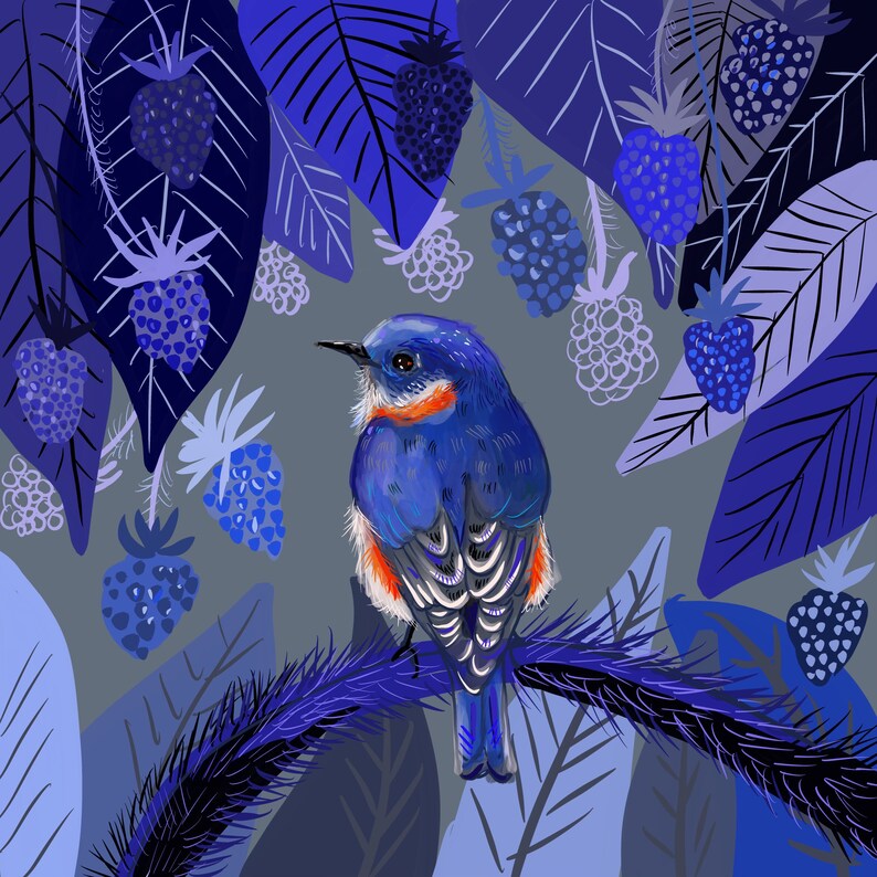 Bluebird, 8