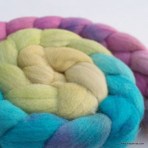 Polwarth Top / Roving -  4 oz braid handpainted colorway &quot;His High & Mighty Prince Tiddly-Push&quot; Gradiant