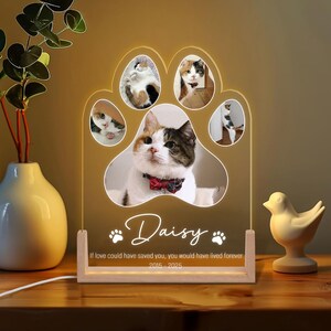 Custom Cat Memorial Night Light, Custom Pet Paw, Custom Cat Photo Night Light, Custom Pet Photo Gifts, Pet Memorial Gift, Cat Dog Loss Gifts