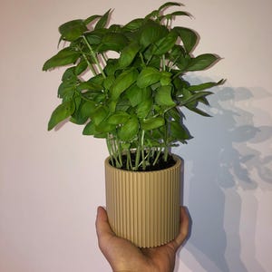 Pot | Plant pot | Flower pot with saucer | Stylish plant pot | Plants | Plant container | Practical plant pot