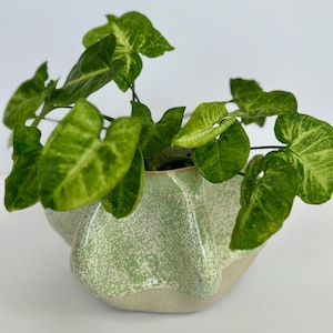 Pinched Sided Planter Pot - Mint Green - Handcrafted