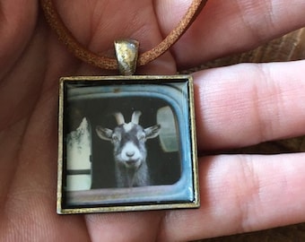 Goat art photo pendant, Goat gift, Goat in truck pendant, Goat necklace, Goat art Jewelry, Farmer gift, Farm animals gifts, Metal and Suede