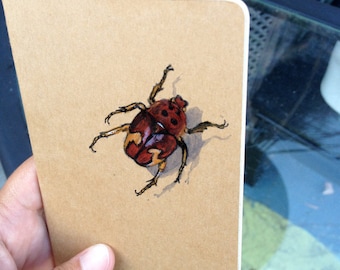 Pocket Book, Insect reference journal, Illustrated Moleskine pocket journal, Insects study, Book of insects, Nature Journal, Insect notebook