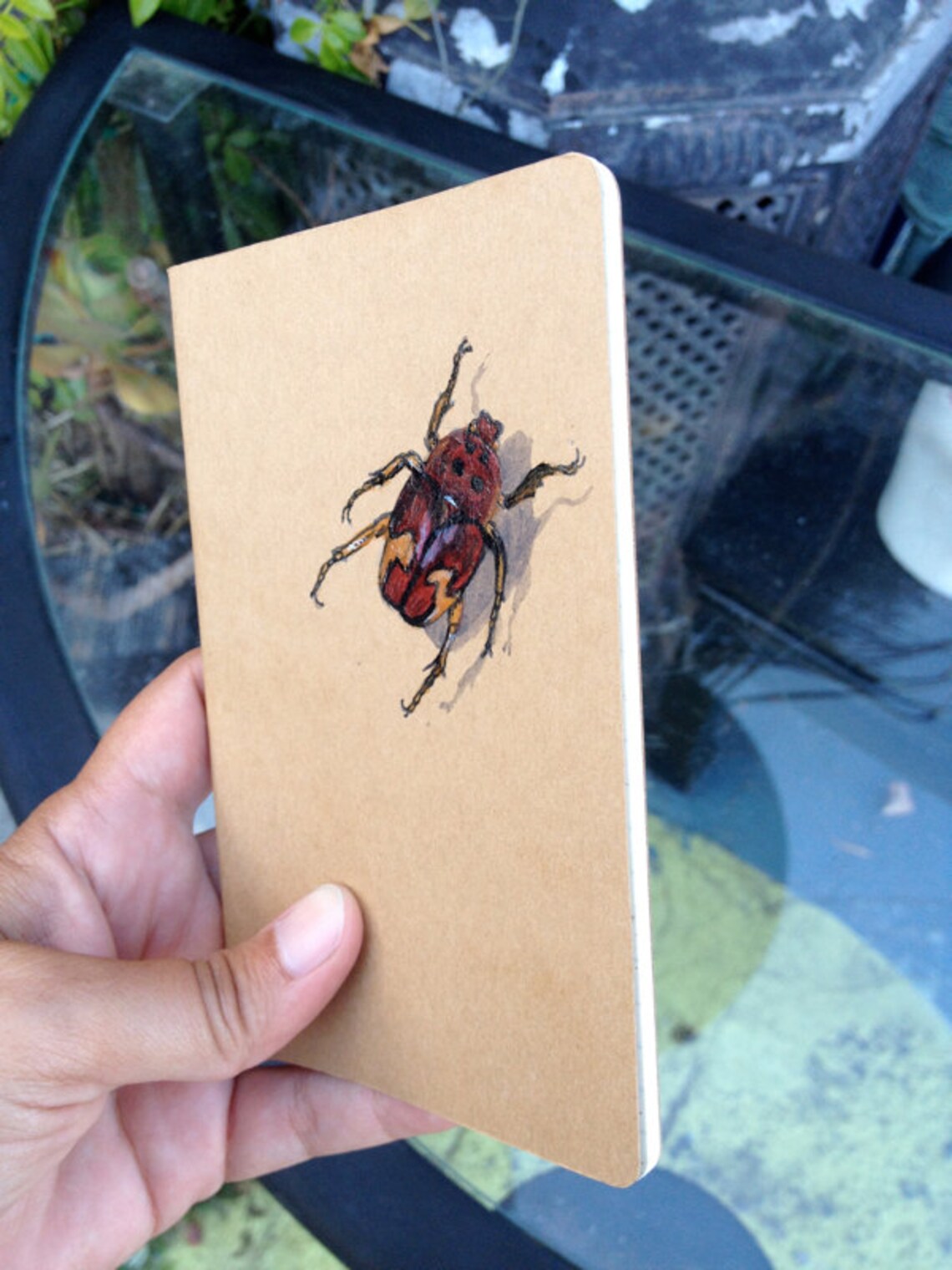 Insect Notebook Pocket Book, Insect Reference Journal, Illustrated Moleskine Pocket ...