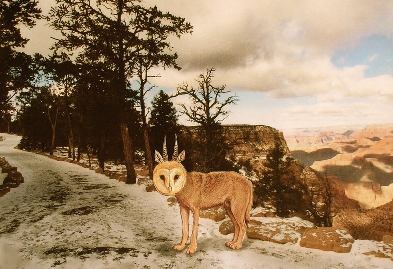 Fantasy Animal Art, Owl Hybrid, Grand Canyon Surreal Art, Beach house decor, Unique animal wall art, Animal Surrealism, 5x7 Framed print, image 3