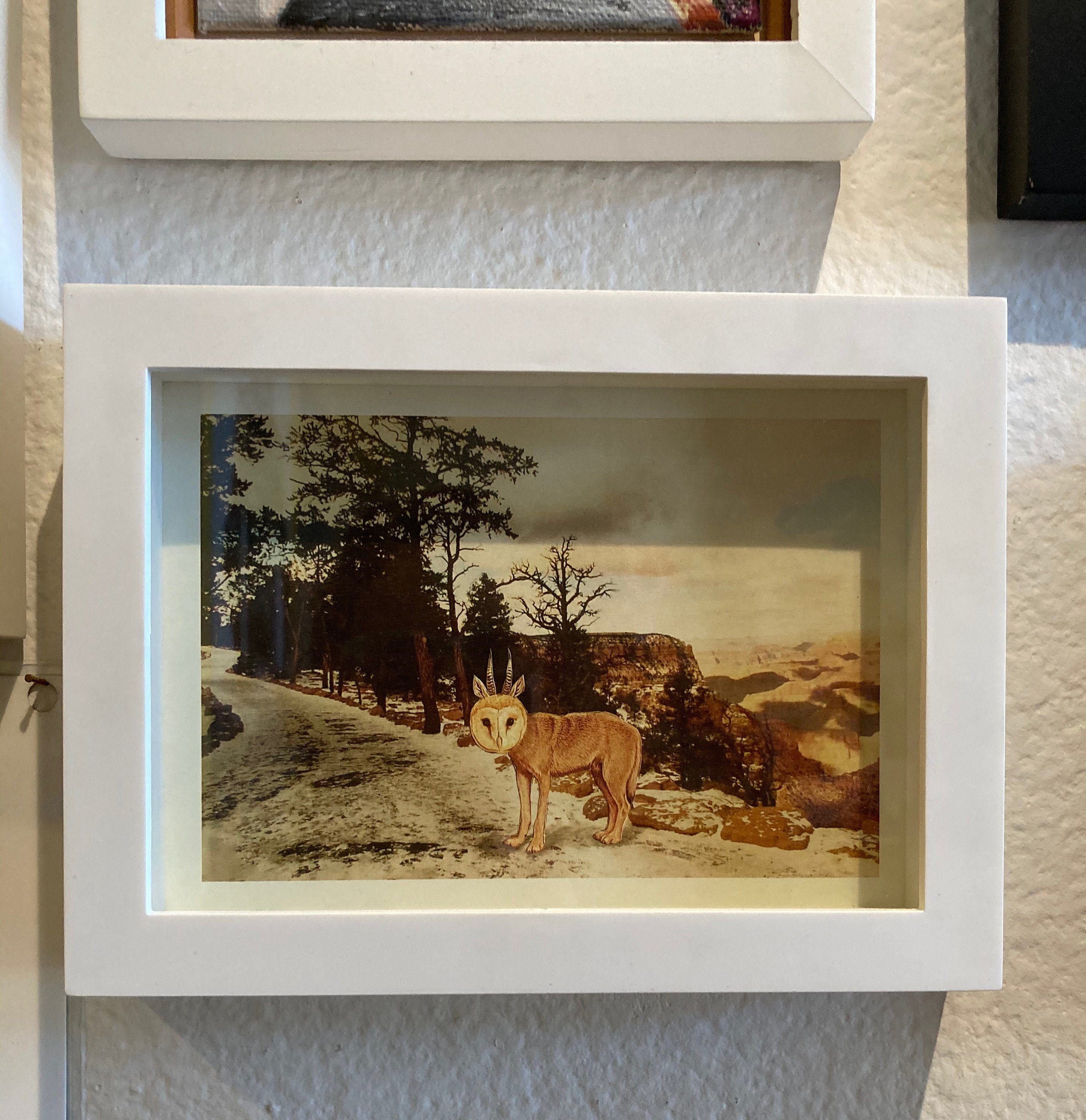 Fantasy Animal Art, Owl Hybrid, Grand Canyon Surreal Art, Beach house decor, Unique animal wall art,