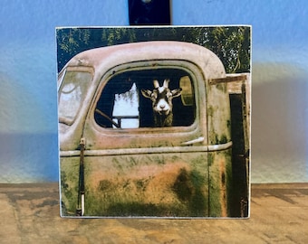 Funny Goat Photo Art Print, Goat In A Truck print on wood panel, Farmhouse Wall Art, Country Home Decor Gifts, Old Rustic Truck Photo Art