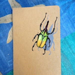 Molskine Pocket Book, Insekt Referenz Zeitschrift, illustrierte Tasche Zeitschrift, Insekten Studie, Buch der Insekten, Natur Journal, Insekt Notebook Bild 2