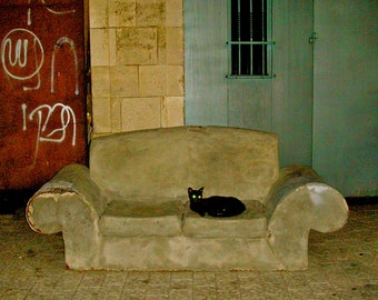 Cat Art, Black Alley Cat, "Jaffa Nights" 8x8 print