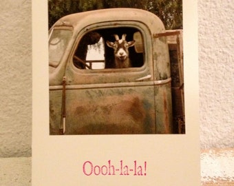 Photo Card ,Goat Truck Driver, Oooh-la-la! , Funny Handmade Card