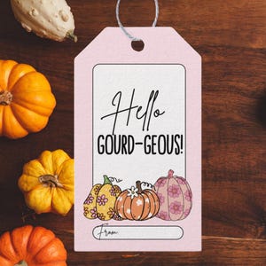 May include: A pink gift tag with the words "Hello GOURD-geous!" and three illustrated pumpkins. The tag has a string for hanging and a space to write "From:" at the bottom. Decorative gourds surround the tag.