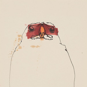 Könnte beinhalten: Eine Schwarz-Weiß-Zeichnung eines Vogels mit rotem und orangefarbenem Gesicht. Der Vogel blickt nach vorne und hat die Flügel gefaltet. Der Hintergrund ist hellbeige.