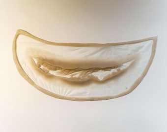 May include: A close-up of a beige silicone mold shaped like a crescent moon with a raised, textured design in the center.