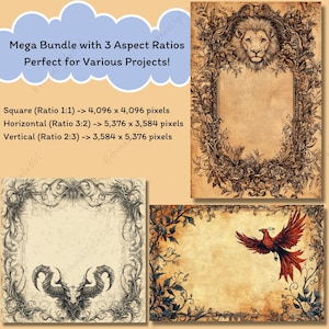 May include: A digital art bundle featuring three aspect ratios for various projects. The image showcases three designs: a lion's head in a floral frame, a frame with ram horns, and a phoenix rising from flames. The text indicates the pixel dimensions for each ratio.