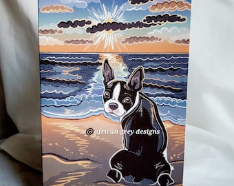 May include: A black and white Boston Terrier dog sitting on a beach with a sunset in the background. The dog is looking to the left of the image. The text "african grey designs" is in the lower right corner of the image.