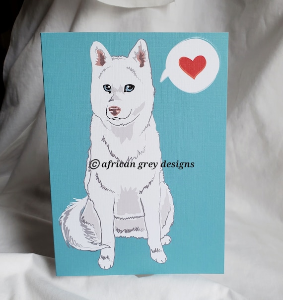 Buy white husky 2025