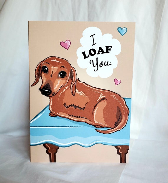 dachshund presents