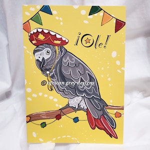Fiesta African Grey Parrot Greeting Card
