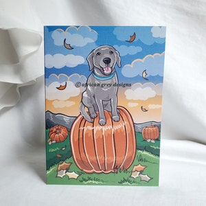 May include: A gray Labrador Retriever dog sits on top of a large orange pumpkin. The dog is wearing a blue collar and has a happy expression on its face. The background is a fall scene with orange and yellow leaves and clouds.