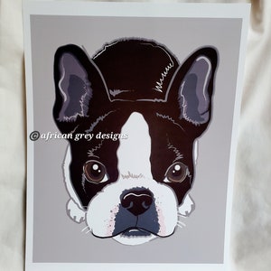 Boston Terrier on Gray Background 8x10 Eco-friendly Print image 1