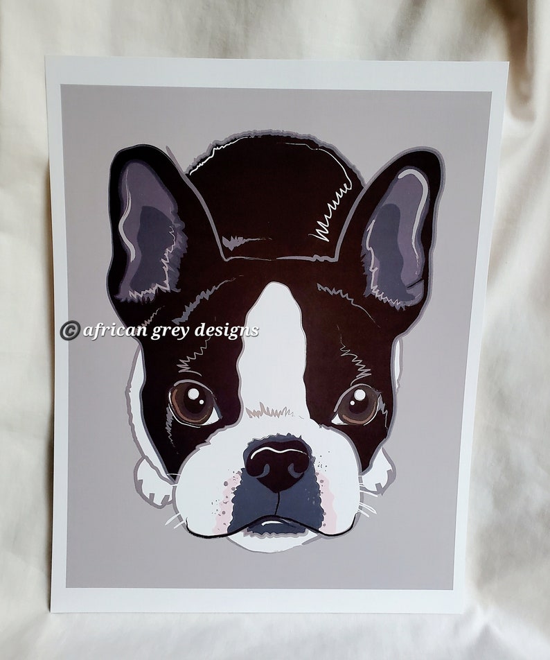 Boston Terrier on Gray Background 8x10 Eco-friendly Print image 1