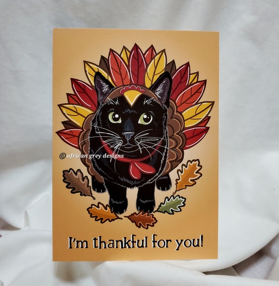 Fancy Land Thanksgiving Greeting Cards - 12 Pack With Envelopes & Stickers, 5x7 Inch