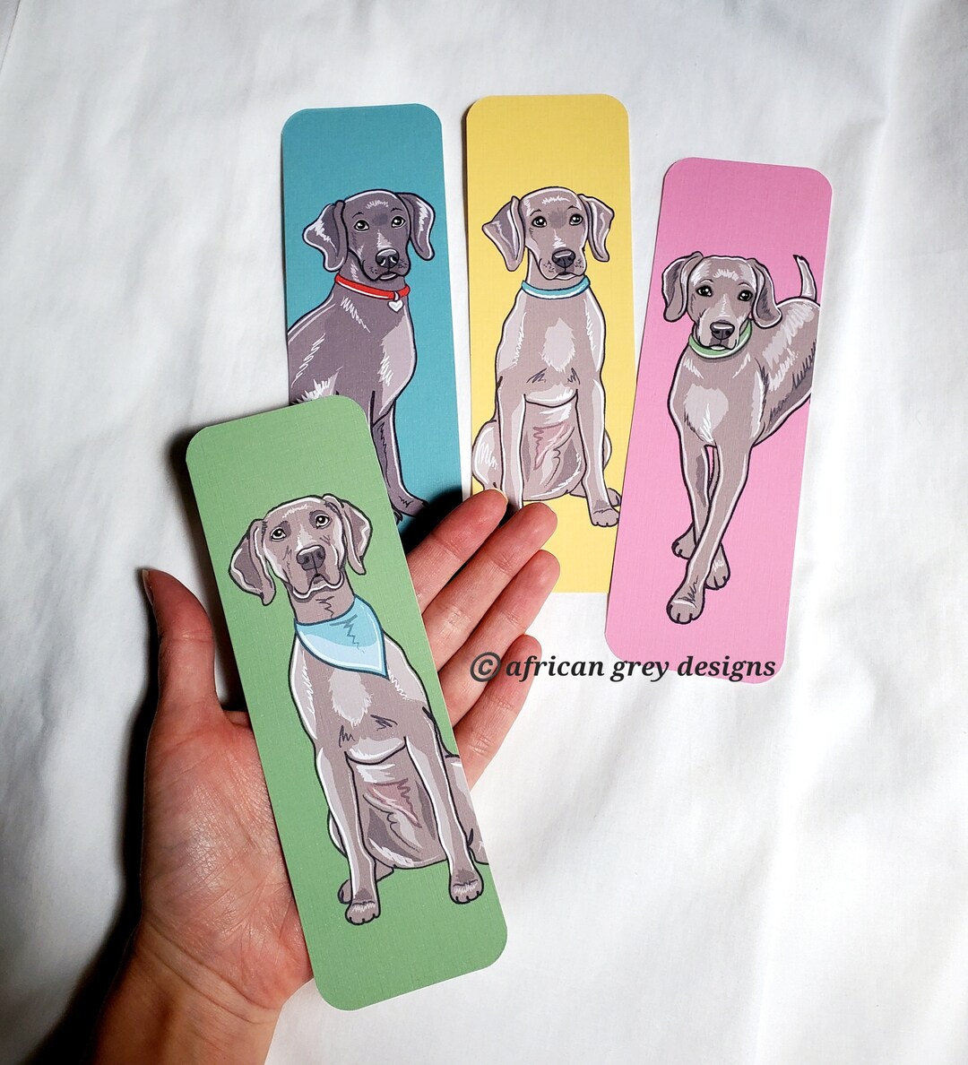 Largest weimaraner hotsell on record