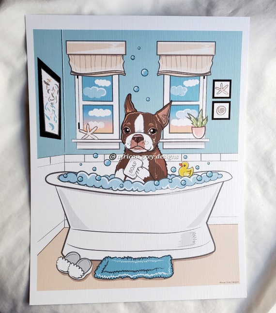How To Bathe A Boston Terrier