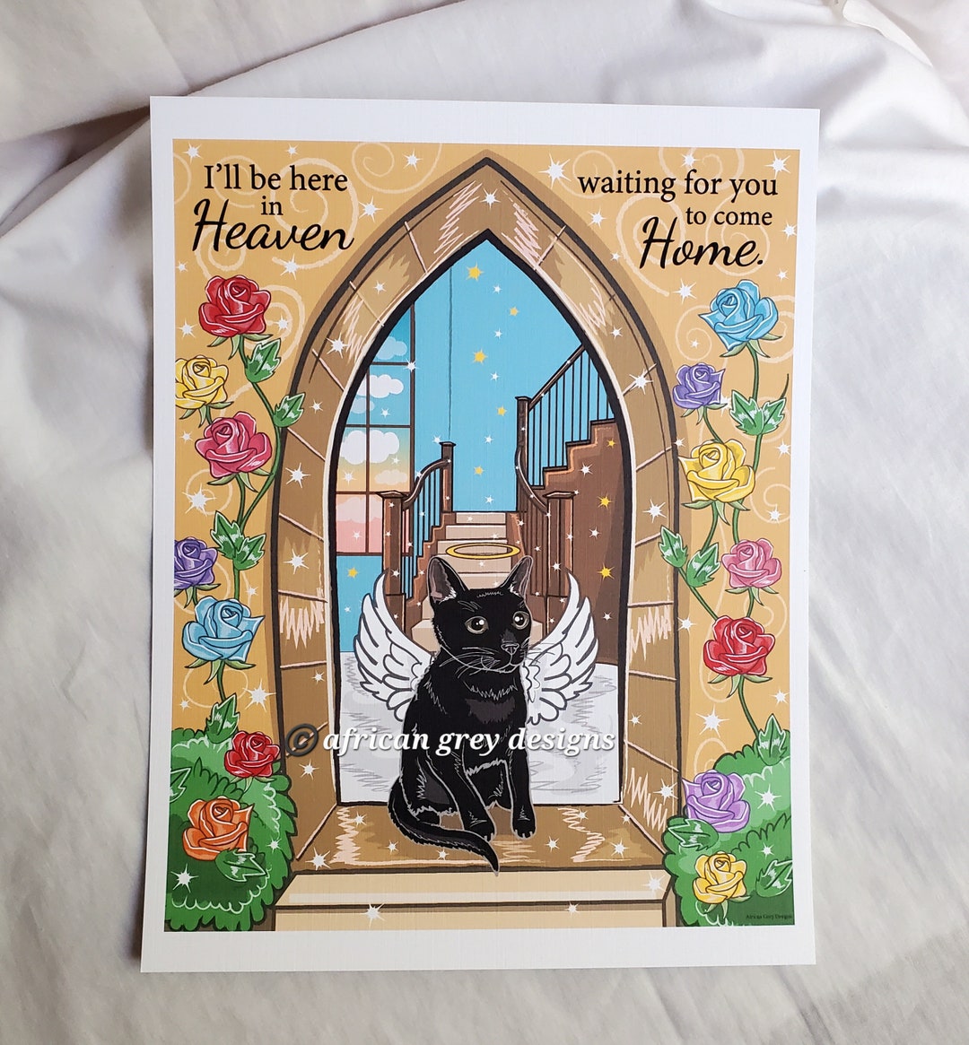 邦楽 BLACK CATS 40th HARAJUKU BIBLE 邦楽 BLACK CATS 40th HARAJUKU BIBLE mqdefault.jpg