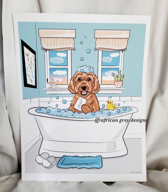 Bathing sales a goldendoodle