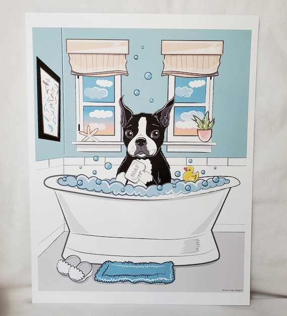 How Often Bathe Boston Terrier