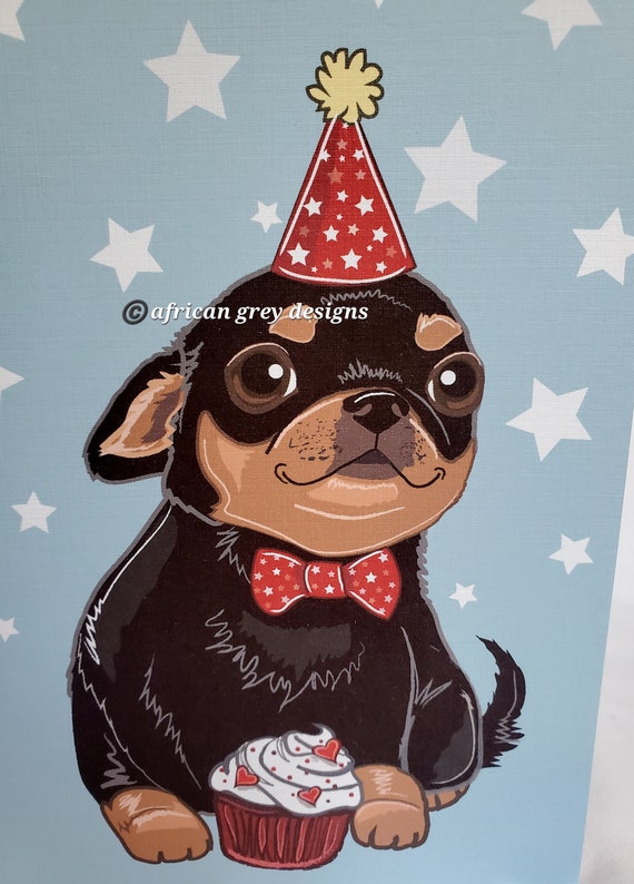 Chihuahua with birthday clearance hat