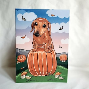 May include: A brown dachshund dog sits on top of a large orange pumpkin. The dog is looking at the viewer. There are smaller pumpkins in the background.