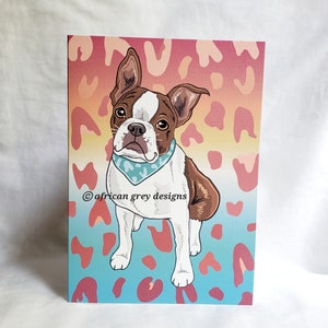 May include: A Boston Terrier dog with brown and white fur is wearing a turquoise bandana. The dog is sitting on a pink, blue, and yellow background with a leopard print pattern. The text "@african grey designs" is at the bottom of the image.
