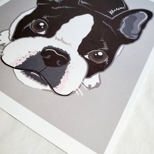 Boston Terrier on Gray Background 8x10 Eco-friendly Print image 3