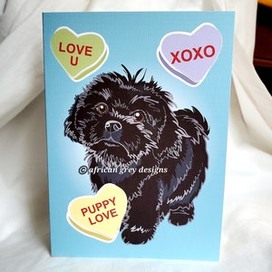 Black Shih Tzu Puppy Love Greeting Card