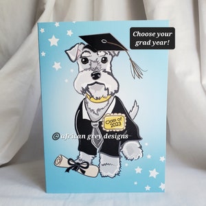 Schnauzer Graduation Greeting Card