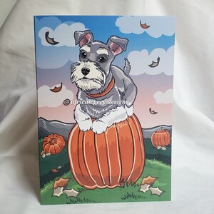 May include: A gray and white miniature schnauzer dog sits on top of a large orange pumpkin with a smaller pumpkin in the background. The dog is looking at the viewer. The background is a blue sky with white clouds and falling leaves.