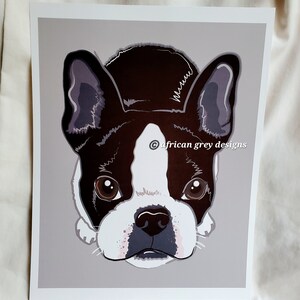 Boston Terrier on Gray Background 8x10 Eco-friendly Print image 4