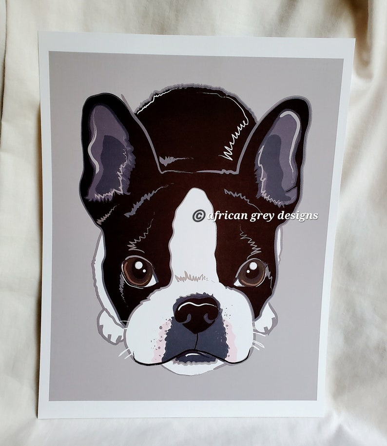 Boston Terrier on Gray Background 8x10 Eco-friendly Print image 4