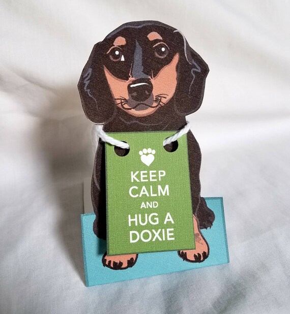 how to calm a dachshund