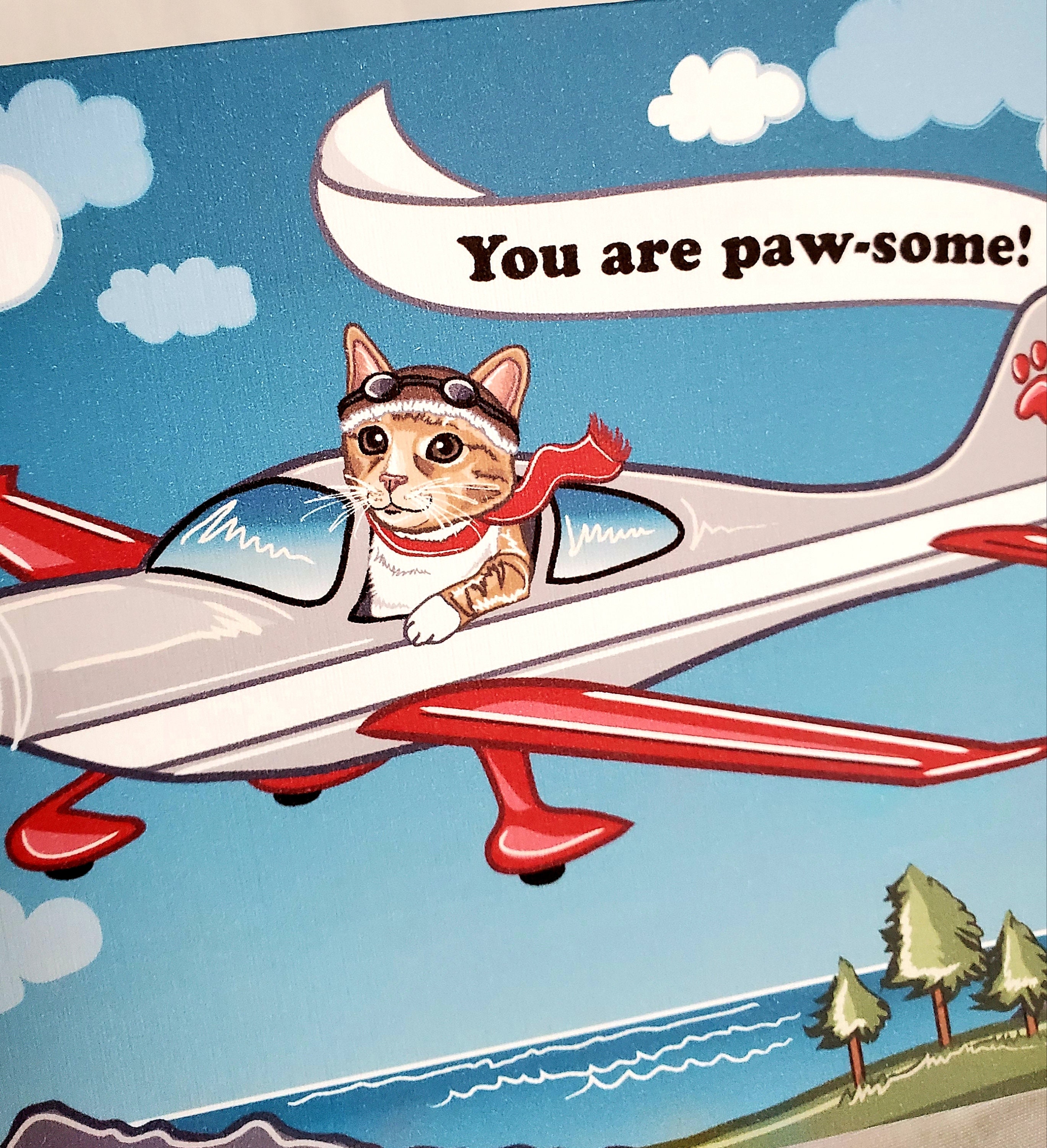 Airplane Cat Greeting Card Orange Tabby Cat Etsy