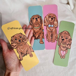 May include: Four colorful bookmarks featuring illustrations of Cavalier King Charles Spaniels. Each bookmark has a different colored background and a different pose of the dog. The text "@african grey designs" is on the yellow bookmark.