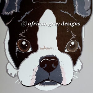 Boston Terrier on Gray Background 8x10 Eco-friendly Print image 2