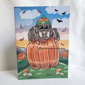 May include: A cartoon jumping spider wearing a green and orange knit hat sits on top of a large orange pumpkin. The spider has large black eyes and is surrounded by fall leaves. The text "african grey designs" is written on the pumpkin.