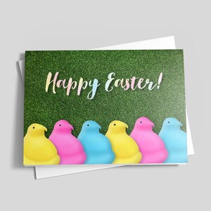 Buona Pasqua Pulcini