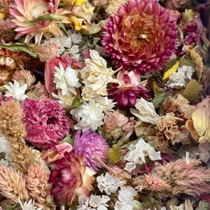 Biodegradable Dried Flowers Petal Confetti: Eco-Friendly Wedding Toss
