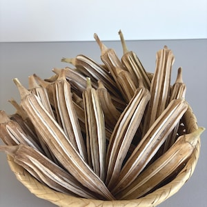 Dried Okra pods, Material for crafts and ornaments