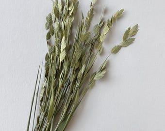 Dried Green Flower Stems, Naturally Dried Oats Bunch, Diy Bouquet Filler